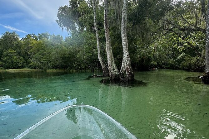 Private Guided Clear Kayak/Paddleboard Rentals on Rainbow River - Starting at KP Hole Park in Dunnellon