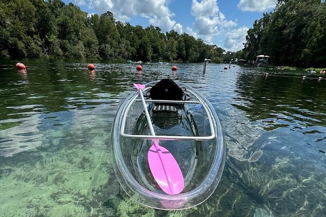 Private Guided Clear Kayak/Paddleboard Rentals on Rainbow River - What Sara Adds to the River Time