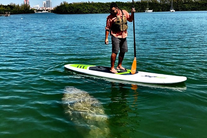 Private Guided Kayak or SUP Eco Adventure - What the included gear means for your day