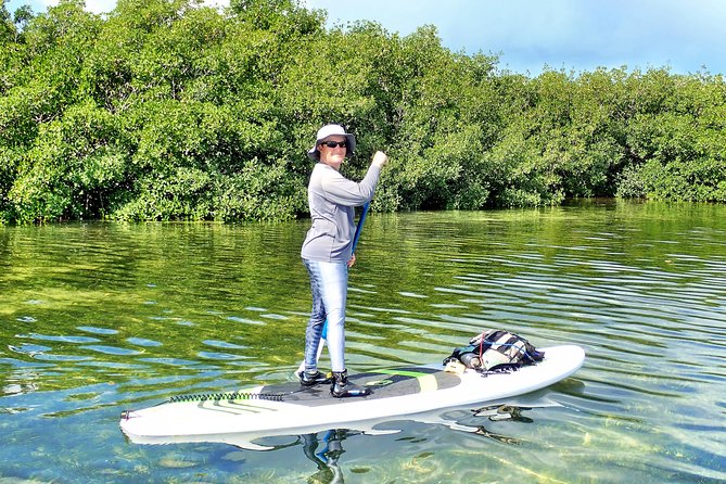 Private Guided Kayak or SUP Eco Adventure - Understanding the $99 price