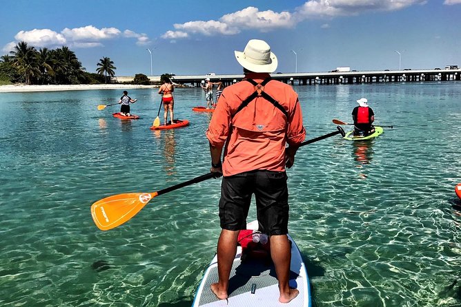 Private Guided Kayak or SUP Eco Adventure - A private trip with room to set the pace