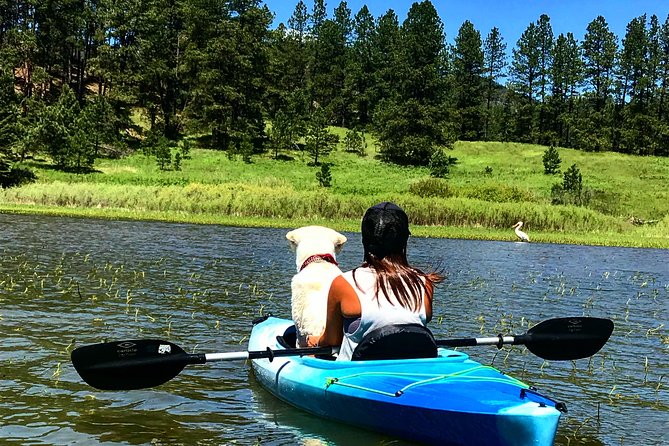 Private Kayaking/ Stand up Paddle Boarding Package - Who gets the most from a private booking