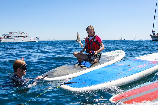 Private Paddleboard and snorkel at the arch - Transport, meeting points, and what to bring