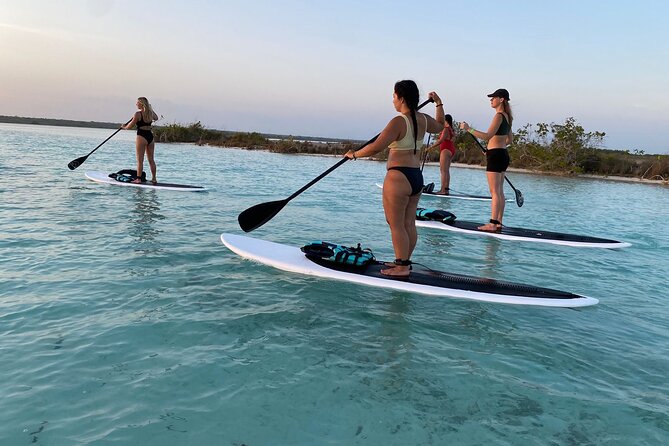 Private Paddleboard Experience in Bacalar - What the private format changes