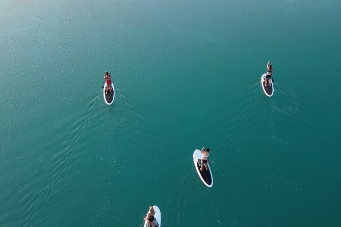 Private Paddleboard Experience in Bacalar - Bird Island, the first natural pause