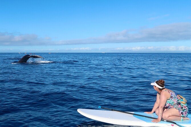 Private Paddleboard (SUP) Whale Watch: All Skill Levels Welcome - Why the Private Format Matters