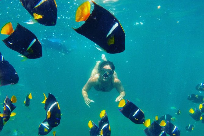 Private Stand Up Paddle Experience in Los Arcos Jalisco - Getting comfortable at Playa Mismaloya