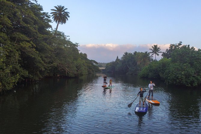 Private Stand up Paddle Lesson and Tour (for 1 or more paddlers) - What happens during the two-hour paddle