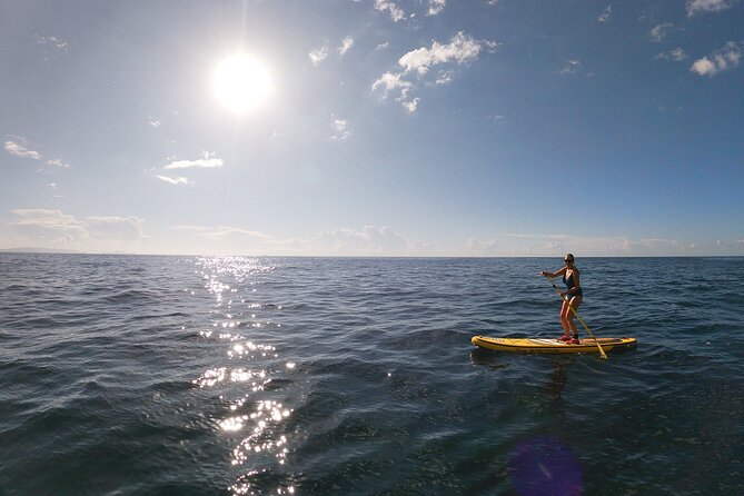 Private Stand Up Paddle Tour in Câmara de Lobos - Cabo Girão from the water