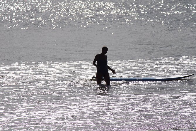 Private Surf Coaching Session in New South Wales - Ballina and North Wall: useful coastal alternatives