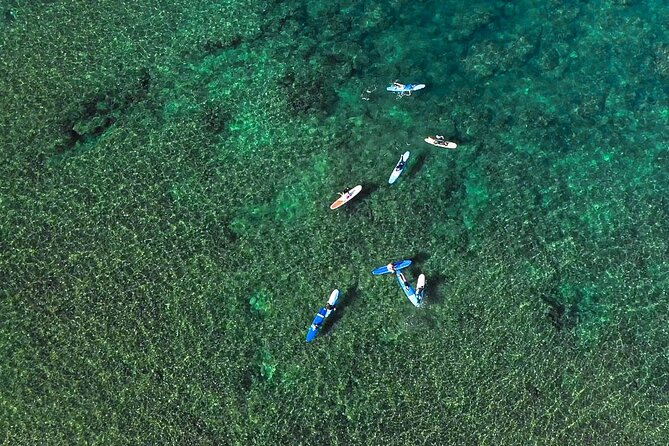 Private Surf Lesson for 3-5 People in North Shore Oahu - The equipment supplied for beginners