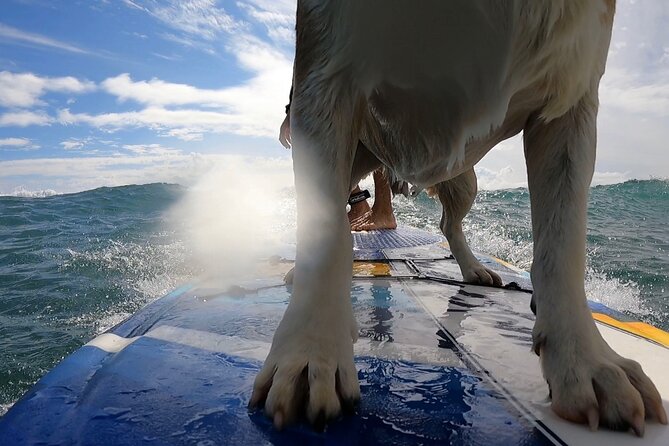 Private Surf Lessons in Maui - Max’s teaching style and what it means for you