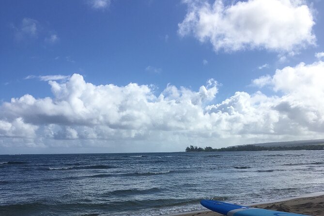 Private Surfing Lessons on the North Shore of Oahu - Building control after the first ride
