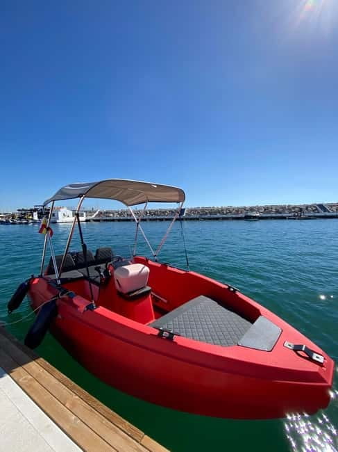 Puerto Banús: Private Cruise with Dolphins & Wakeboard - Dolphin watching from the Costa del Sol