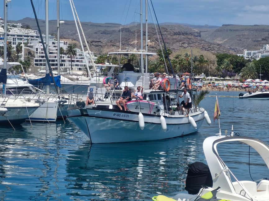Puerto Rico, Gran Canaria: boat trip, drinks, food, paddle surfing, snorkeling - Included activities versus paid extras