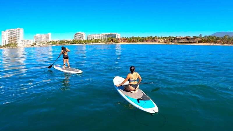 Puerto Vallarta: Guided SUP Board Tour with Digital Photos - Wildlife sightings across Banderas Bay