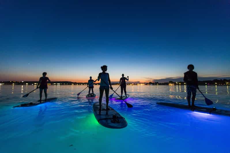 Pula: Night LED Stand-Up Paddle Board Tour - What the LED lights can reveal