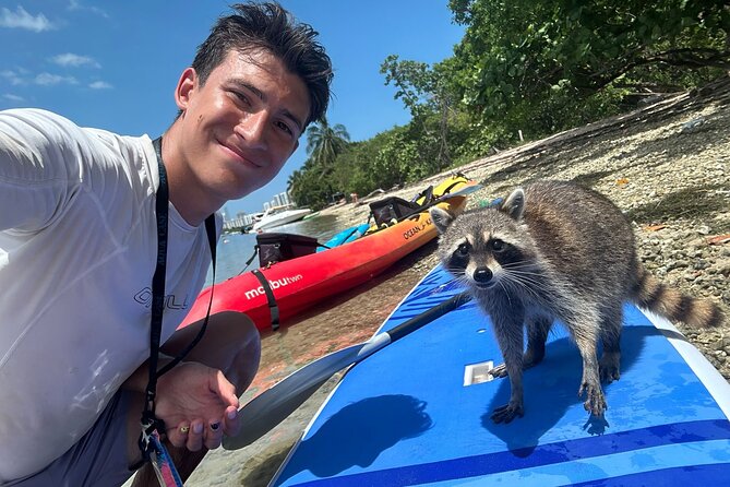 Raccoon Island Exploration on SUP/Kayak - A quirky Miami morning on the water
