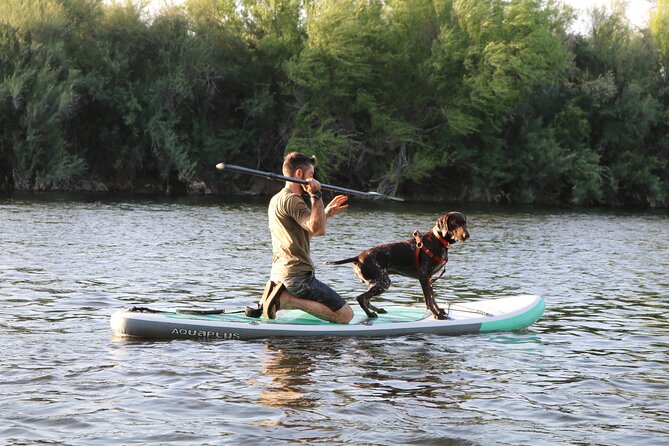 Rent a Paddle Board And Float the Lower Salt River - Making the most of a three to six-hour float