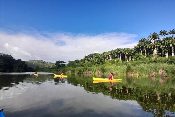 Rental Kayaking or Stand-up Paddle 2H - Starting at Grande-Anse Beach in Deshaies