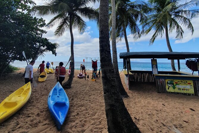 Rental Kayaking or Stand-up Paddle 2H - Value at $24.03 per person