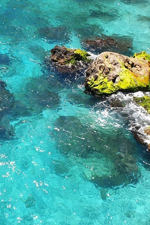 Ruta libre en paddel surf por la cascada de Nerja y Maro 😍 - Reaching Maro Waterfall and the coastal caves