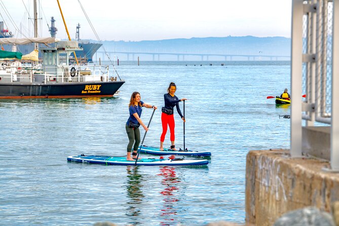 San Francisco Bay Kayak Or Paddle Board Tour - Wildlife is the real payoff