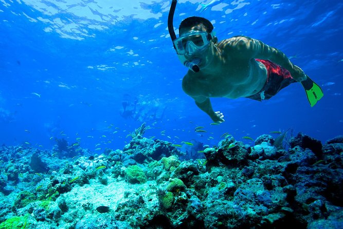 San Juan | Paddleboard | Kayak | Snorkeling | Guided Tours - Key points to know before booking