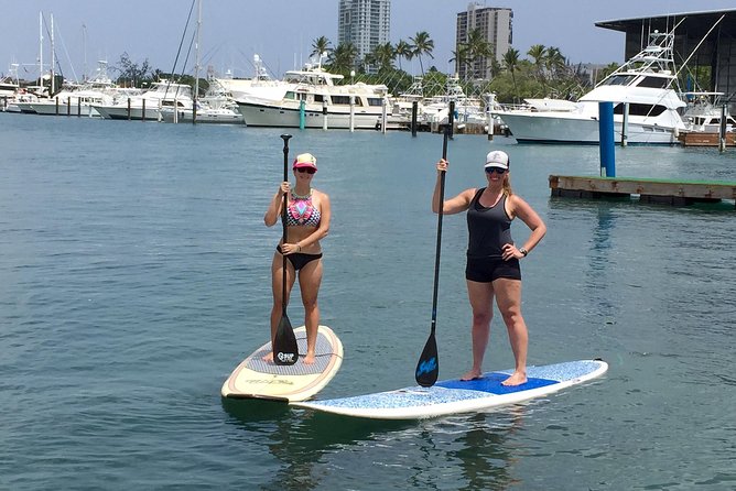 San Juan | Paddleboard | Kayak | Snorkeling | Guided Tours - Searching for manatees and fish
