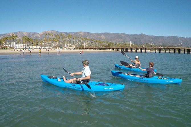 Santa Barbara Kayak or Stand Up Paddle Rental - Kayak or SUP: choosing the right fit