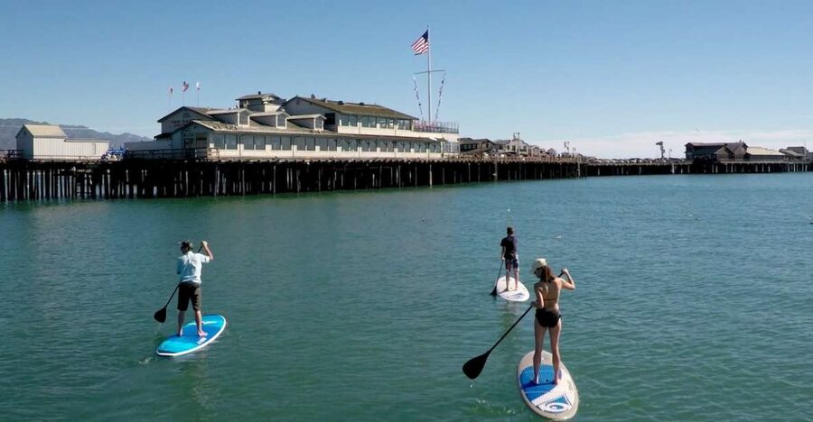 Santa Barbara: Stand-up Paddle Board Rental - Looking for sea lions, seals, and dolphins