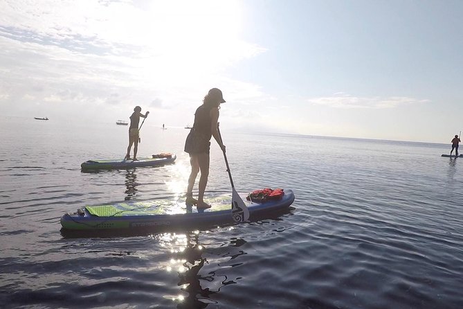 Santorini: Stand-Up Paddle and Snorkel Adventure - What the route feels like on the water