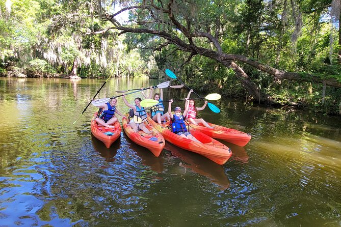 Scenic Half-Day Kayak or Paddleboard Rental – Dora Canal - Why the Dora Canal makes a good half-day outing