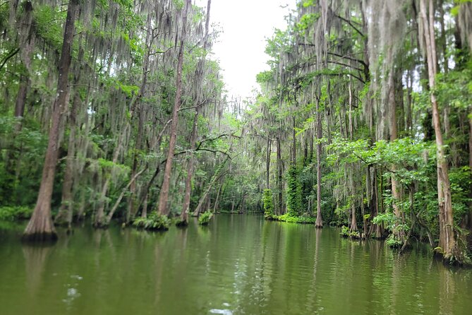 Scenic Half-Day Kayak or Paddleboard Rental – Dora Canal - Starting at Wooton Park in downtown Tavares