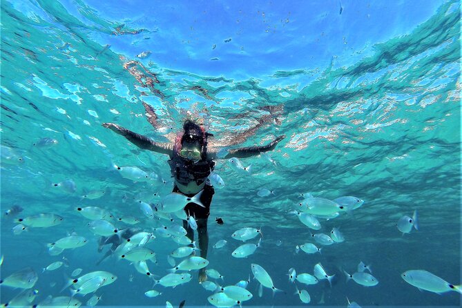 Sea Caves & Coves Snorkeling Paddle Boarding Tour - Drinks, fruit, music, and the feel on board