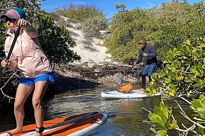 Sea Lions & Mega-Paddleboard Tour in Balandra - Starting in La Paz at 8:00 am