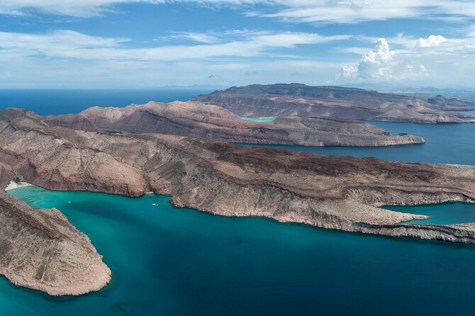 Sea Lions & Mega-Paddleboard Tour in Espiritu Santo - Why the sea lion stop makes this tour special