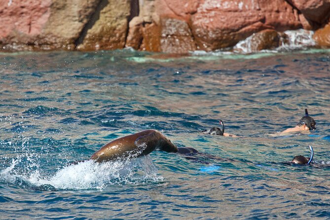Sea Lions & Mega-Paddleboard Tour in Espiritu Santo - The 7:00 a.m. start and boat ride from La Paz
