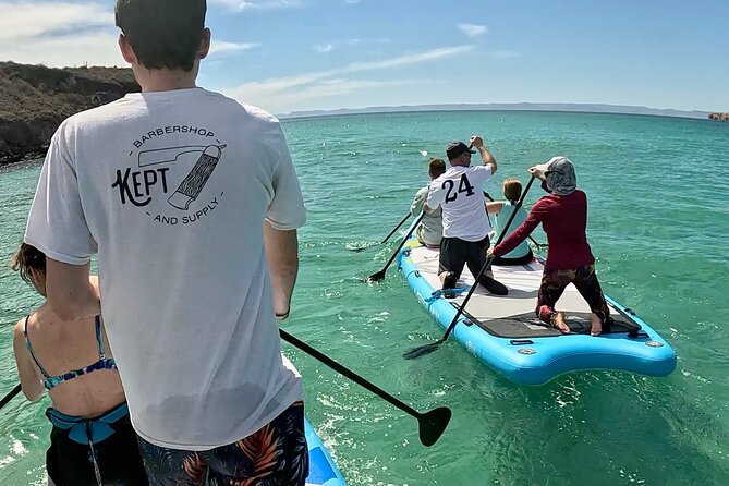 Sea Lions & Mega-Paddleboard Tour in Espiritu Santo - The organization issue you should take seriously