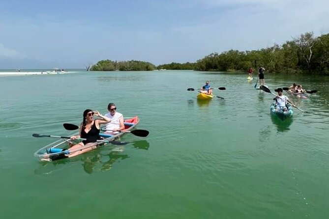 Self-Guided Island Tour: CLEAR/Standard Kayak, SUP-Bonita Springs - Who will enjoy this most