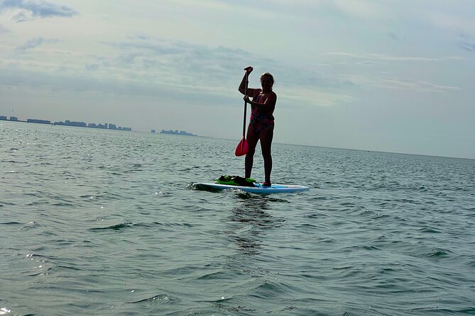 Self Guided Standup Paddle Board EcoTour -Bonita Springs - A Secluded Beach Adds a Simple Reward