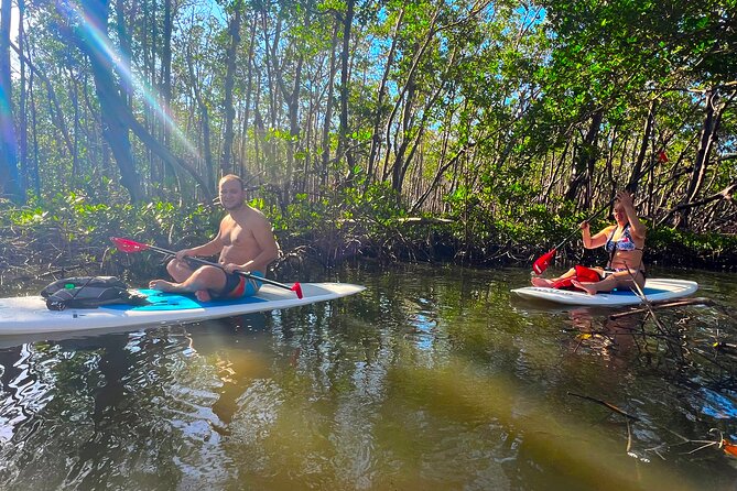 Self Guided Standup Paddle Board EcoTour -Bonita Springs - Mangrove Tunnels Bring the Best Scenery