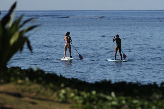 Semi-Private Surf Lesson - 3 Students 1 Instructor - Paddling to Lahaina’s Breakwall