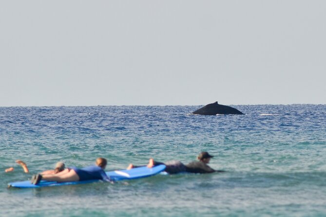 Semi Private Surf Lessons with Experienced Coaches - Key points at a glance