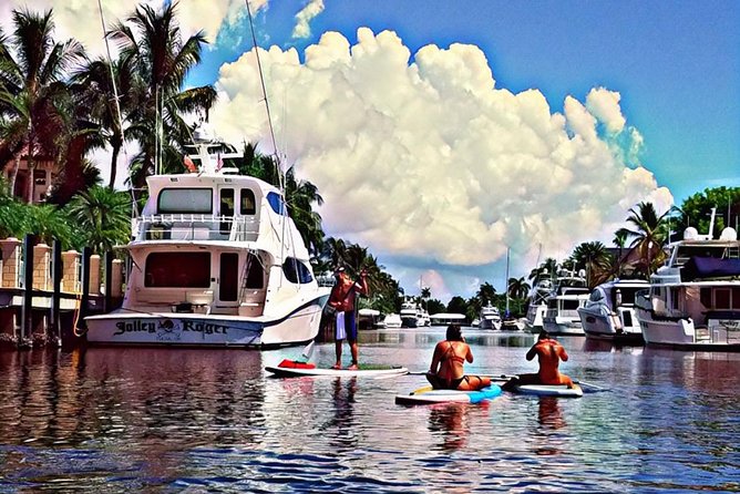 Seven Isles Tour & Exclusive Fort Lauderdale Mangrove & ECO Paddle Board / Kayak - Paddling through Seven Isles