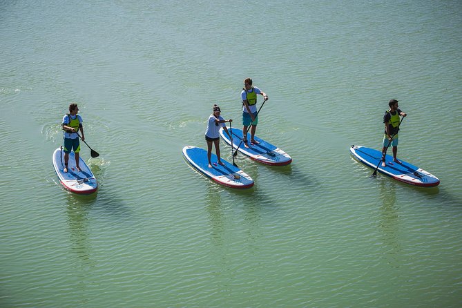 Seville: Paddle Surf Route and Class - Seeing Seville Cathedral from the water