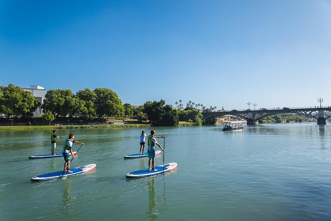 Seville: Paddle Surf Route and Class - Starting beside the Guadalquivir on C. Betis