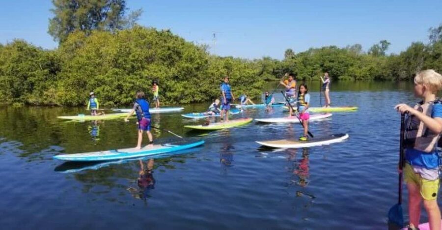 Siesta Key: Mangrove Kayak or Paddleboard Tour - Through the Tunnels of Jim Neville Marine Preserve