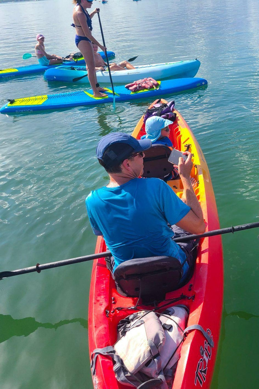 Siesta Key: Mangrove Kayak or Paddleboard Tour - Wildlife Watching Without Chasing Animals