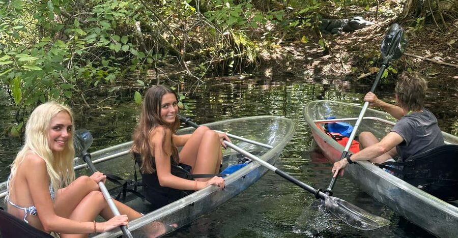 Silver Springs: Guided Clear Kayak or Paddleboard Gator Tour - Why Silver River makes a fine two-hour outing